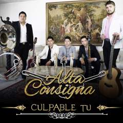alta-consigna